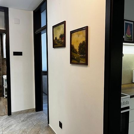 Apartman Darvin / Lux เบลเกรด ภายนอก รูปภาพ