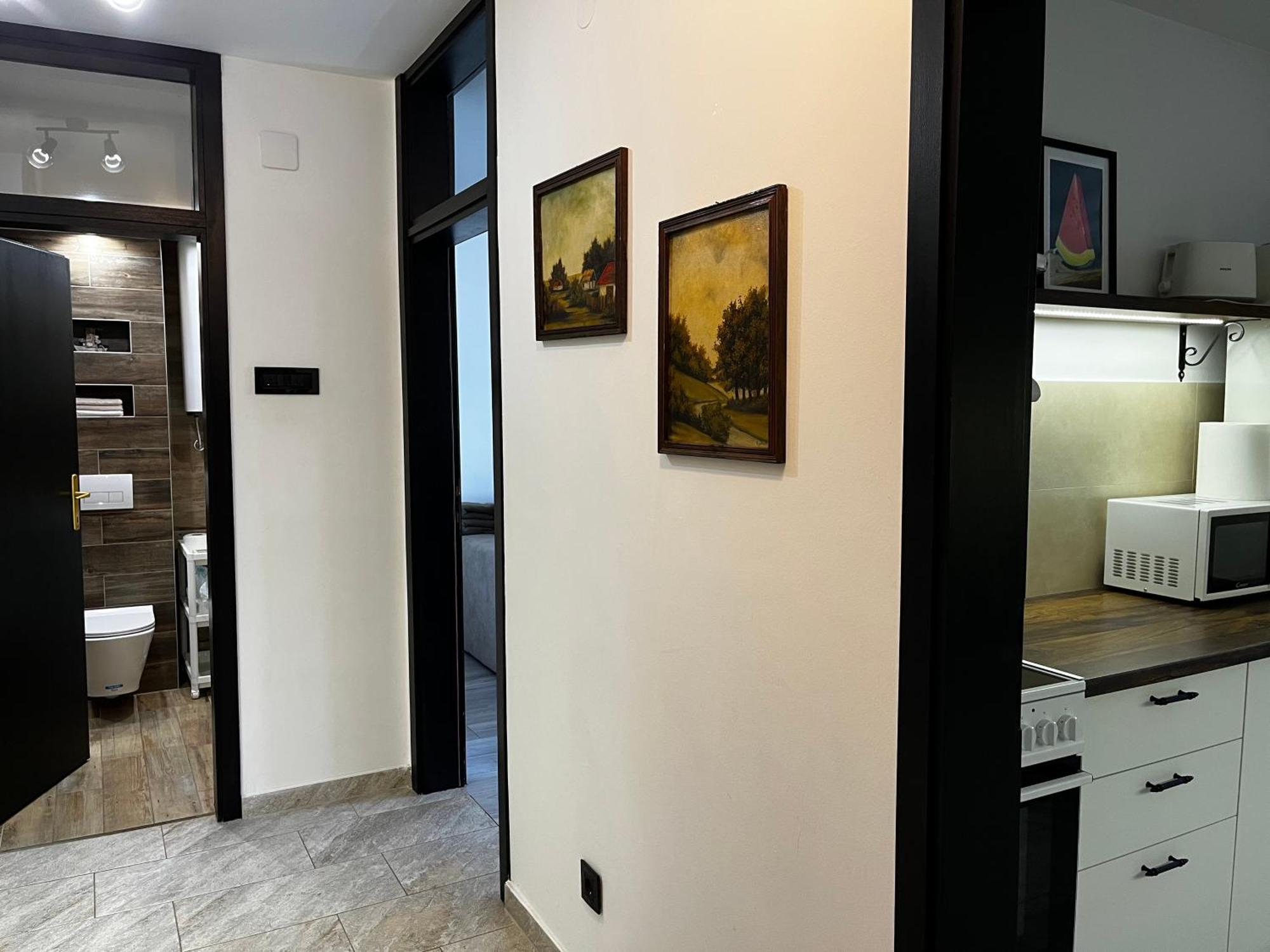Apartman Darvin / Lux เบลเกรด ภายนอก รูปภาพ